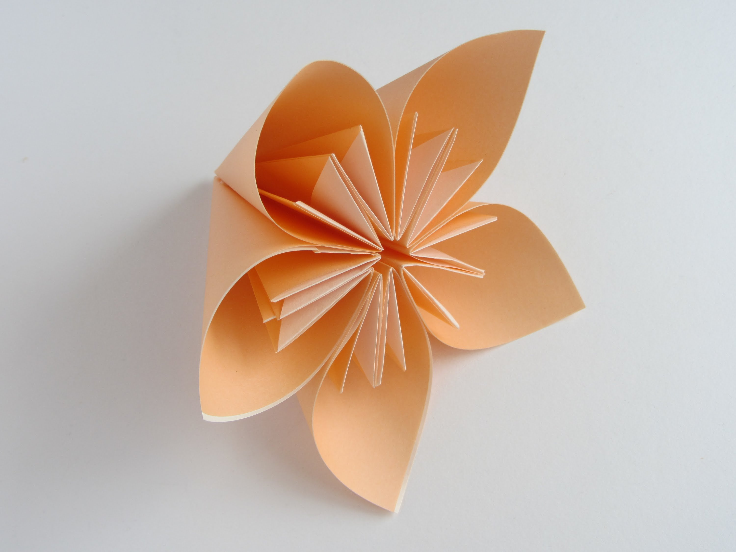 origami flower easy flat