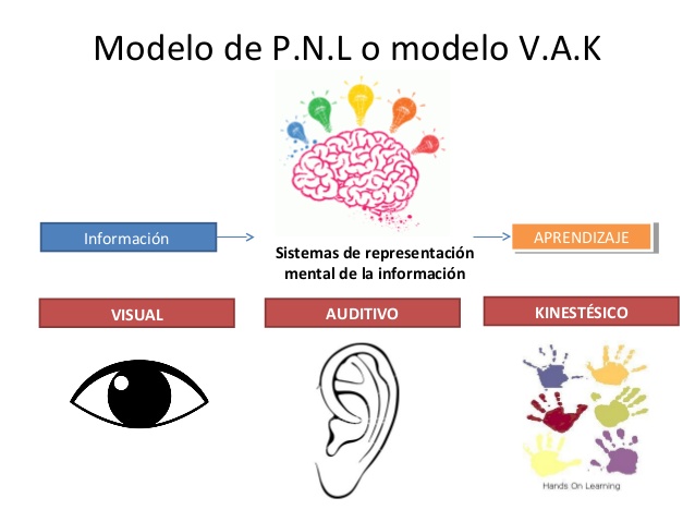 DOCENTECA - Estilos de aprendizaje - Modelo PNL / VAK - Info + TEST